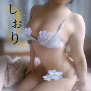 ヒメ日記 2025/07/17 14:20 投稿 しおり 夜這い茶屋 はなれ