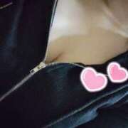 ヒメ日記 2025/12/12 18:04 投稿 ぱいん 子猫カフェ 小倉店