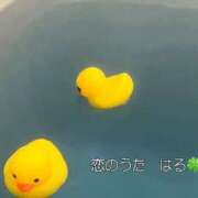 はる未経験 𝙏𝙝𝙖𝙣𝙠 𝙮𝙤𝙪✨ 恋のうた