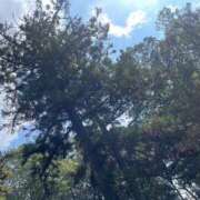 ヒメ日記 2026/04/19 11:39 投稿 はる未経験 恋のうた