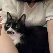 ヒメ日記 2025/11/04 04:40 投稿 ちか 人妻28