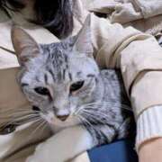 ちか 出勤してます🐱 人妻28