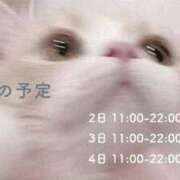 ヒメ日記 2025/09/01 12:00 投稿 イオリ MAHARAJA(マハラジャ)千葉