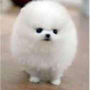 ヒメ日記 2025/09/11 23:21 投稿 えり ナイトヴィーナス