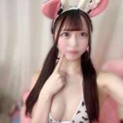 ヒメ日記 2025/07/08 19:01 投稿 らら【ドМなはんなり美女】 STELLA TOKYO－ステラトウキョウ－