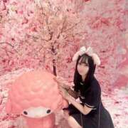 ヒメ日記 2025/07/16 16:16 投稿 らら【ドМなはんなり美女】 STELLA TOKYO－ステラトウキョウ－