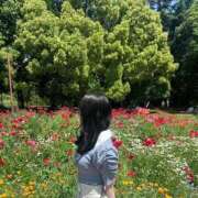 ヒメ日記 2025/07/23 18:20 投稿 らら【ドМなはんなり美女】 STELLA TOKYO－ステラトウキョウ－