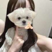 ヒメ日記 2025/08/11 15:32 投稿 らら【ドМなはんなり美女】 STELLA TOKYO－ステラトウキョウ－