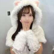 ヒメ日記 2025/10/21 19:18 投稿 らら【ドМなはんなり美女】 STELLA TOKYO－ステラトウキョウ－