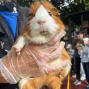 ヒメ日記 2025/10/27 18:34 投稿 りか 横浜Cute