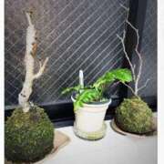 ヒメ日記 2026/02/12 12:46 投稿 りか 横浜Cute