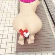 ヒメ日記 2025/11/03 19:21 投稿 きほ 奥様特急長岡店