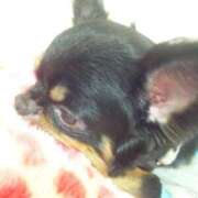 ヒメ日記 2025/11/01 11:45 投稿 日向なつみ BaliSpa