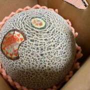 ヒメ日記 2025/07/15 17:30 投稿 一条りりか BaliSpa