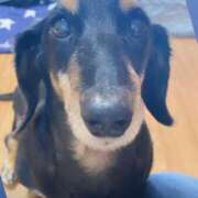 ヒメ日記 2025/08/01 16:02 投稿 一条りりか BaliSpa