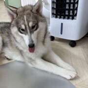 ヒメ日記 2025/09/03 23:32 投稿 一条りりか BaliSpa