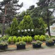 ヒメ日記 2025/09/04 23:47 投稿 一条りりか BaliSpa