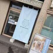 ヒメ日記 2025/09/04 23:52 投稿 一条りりか BaliSpa