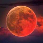 ヒメ日記 2025/09/07 23:15 投稿 一条りりか BaliSpa