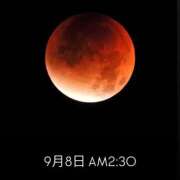 ヒメ日記 2025/09/08 10:45 投稿 一条りりか BaliSpa