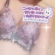 ヒメ日記 2025/10/15 11:15 投稿 一条りりか BaliSpa