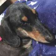 ヒメ日記 2025/11/01 10:12 投稿 一条りりか BaliSpa