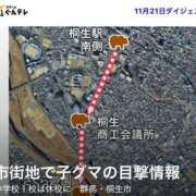 ヒメ日記 2025/11/23 18:45 投稿 一条りりか BaliSpa