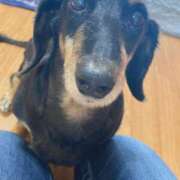 ヒメ日記 2025/11/28 15:02 投稿 一条りりか BaliSpa