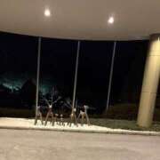 ヒメ日記 2026/01/13 18:57 投稿 一条りりか BaliSpa