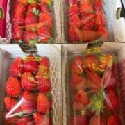 ヒメ日記 2026/01/18 23:55 投稿 一条りりか BaliSpa