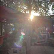 一条りりか パワーありありだ❣️(*ˊ˘ˋ*)｡♪:*° BaliSpa