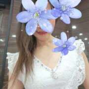 ヒメ日記 2025/07/01 17:05 投稿 なのは ラブハーレム(水戸)