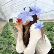 ヒメ日記 2025/07/09 13:39 投稿 なのは ラブハーレム(水戸)