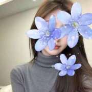 ヒメ日記 2025/11/15 17:01 投稿 なのは ラブハーレム(水戸)