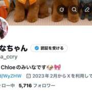 ヒメ日記 2025/11/23 20:45 投稿 みいな★超S級！元有名アイドル Chloe五反田本店　S級素人清楚系デリヘル