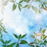 ヒメ日記 2026/02/15 17:17 投稿 トト 人妻生レンタル