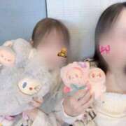 ヒメ日記 2025/07/29 12:22 投稿 りぼん マリン土浦本店