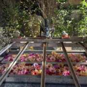 ヒメ日記 2026/01/18 16:11 投稿 りぼん マリン土浦本店