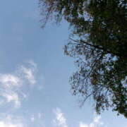 ヒメ日記 2025/11/05 19:03 投稿 なつ 西川口マーメイド