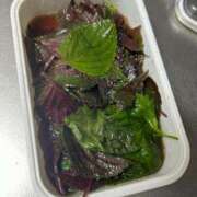 ヒメ日記 2025/08/15 19:10 投稿 華村いろか BaliSpa