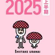 ヒメ日記 2025/09/09 00:18 投稿 華村いろか BaliSpa