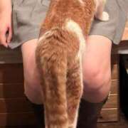 ヒメ日記 2025/07/01 23:18 投稿 まいん プリンセスセレクション茨木・枚方店