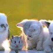 ヒメ日記 2025/07/28 14:44 投稿 まいん プリンセスセレクション茨木・枚方店