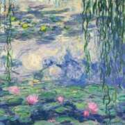 ヒメ日記 2025/08/23 17:15 投稿 まいん プリンセスセレクション茨木・枚方店