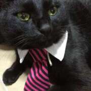 ヒメ日記 2025/12/06 23:40 投稿 ♡えみり先生♡ 梅田ムチぽよ女学院