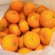 ヒメ日記 2025/12/26 04:10 投稿 ♡えみり先生♡ 梅田ムチぽよ女学院