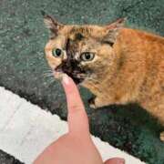 ヒメ日記 2026/04/01 00:52 投稿 ♡えみり先生♡ 梅田ムチぽよ女学院