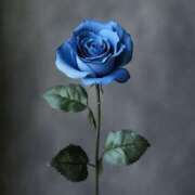 ヒメ日記 2026/01/09 08:59 投稿 れいな カワサキEROTIC（ソープランド）