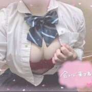 ヒメ日記 2025/08/22 17:39 投稿 にこ 難波女子高生はやめました！！