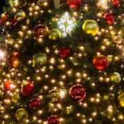 ヒメ日記 2025/11/21 22:10 投稿 れん 赤坂美療